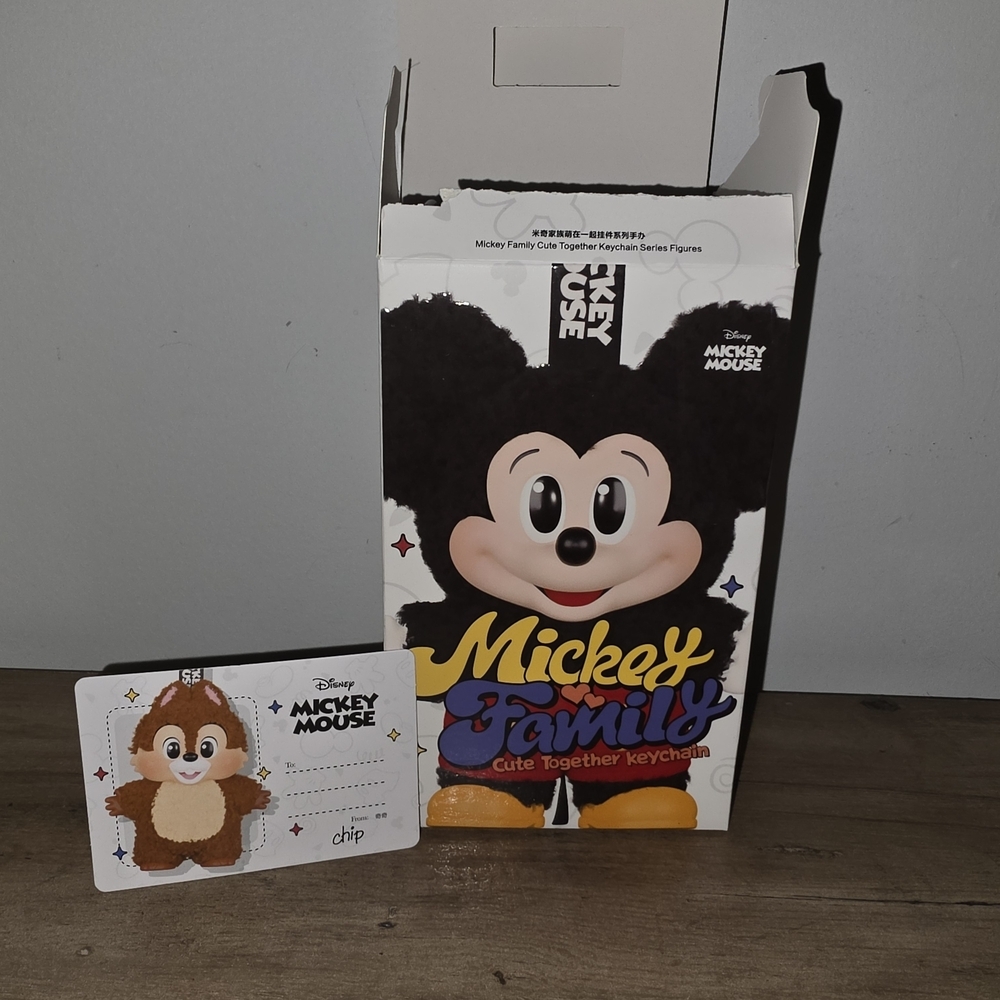 Disney Labubu | Chip